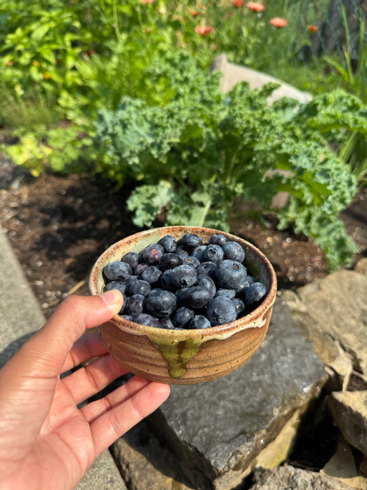 Berry Bowl