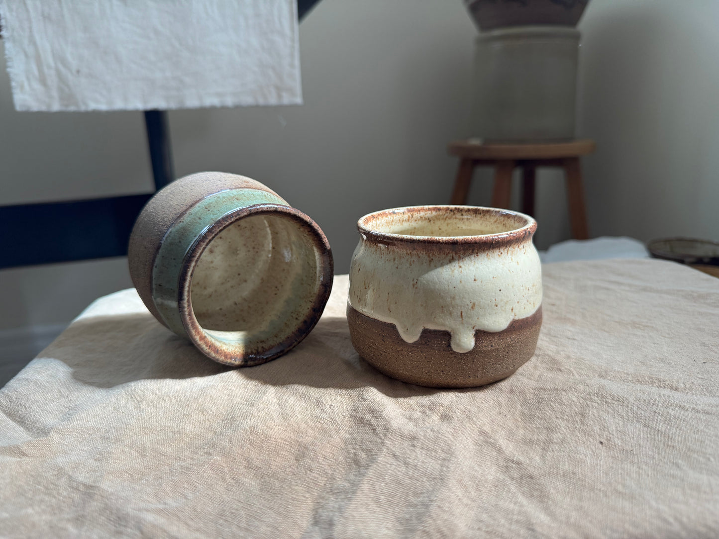 Plant Pot