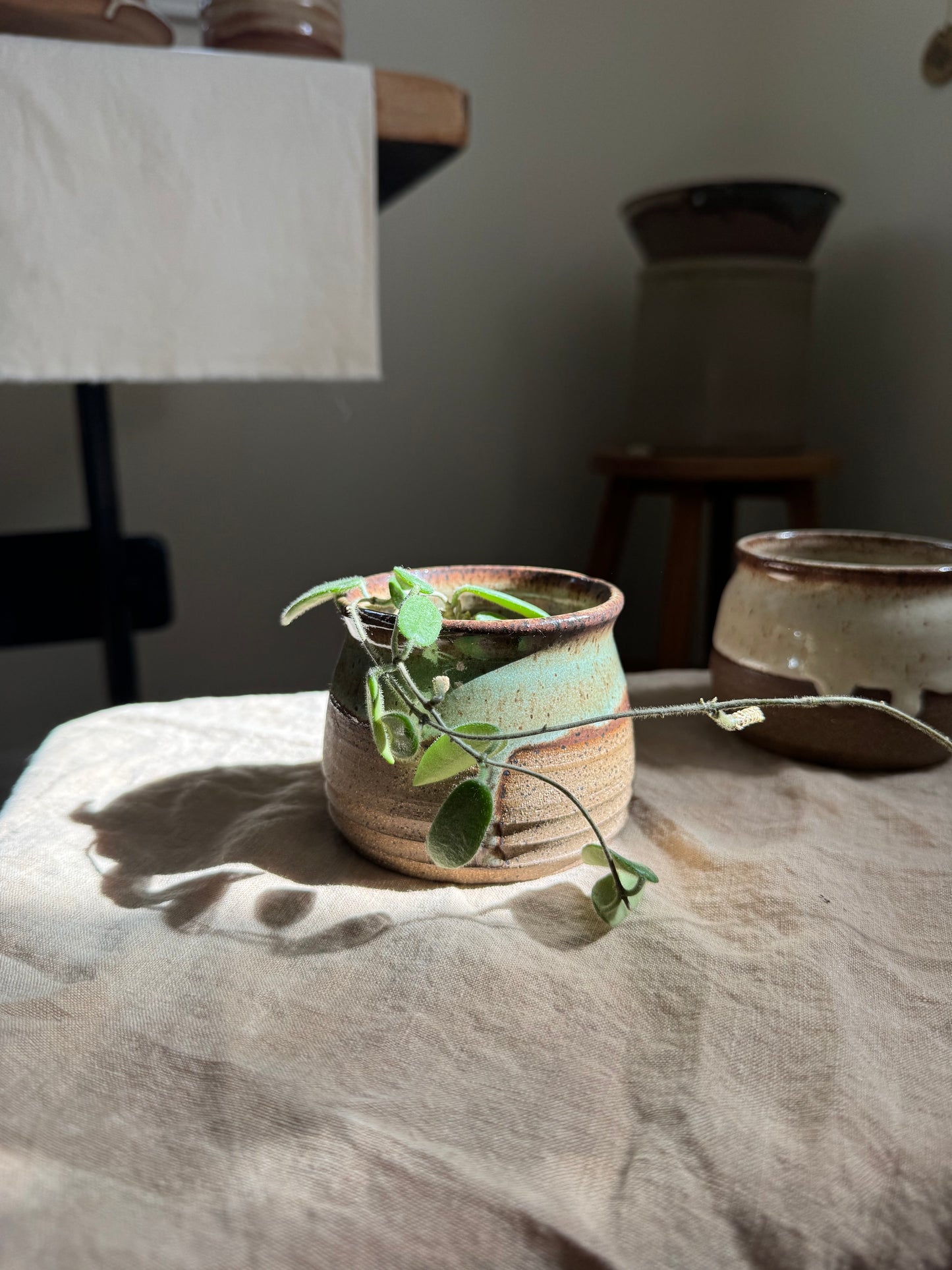Plant Pot