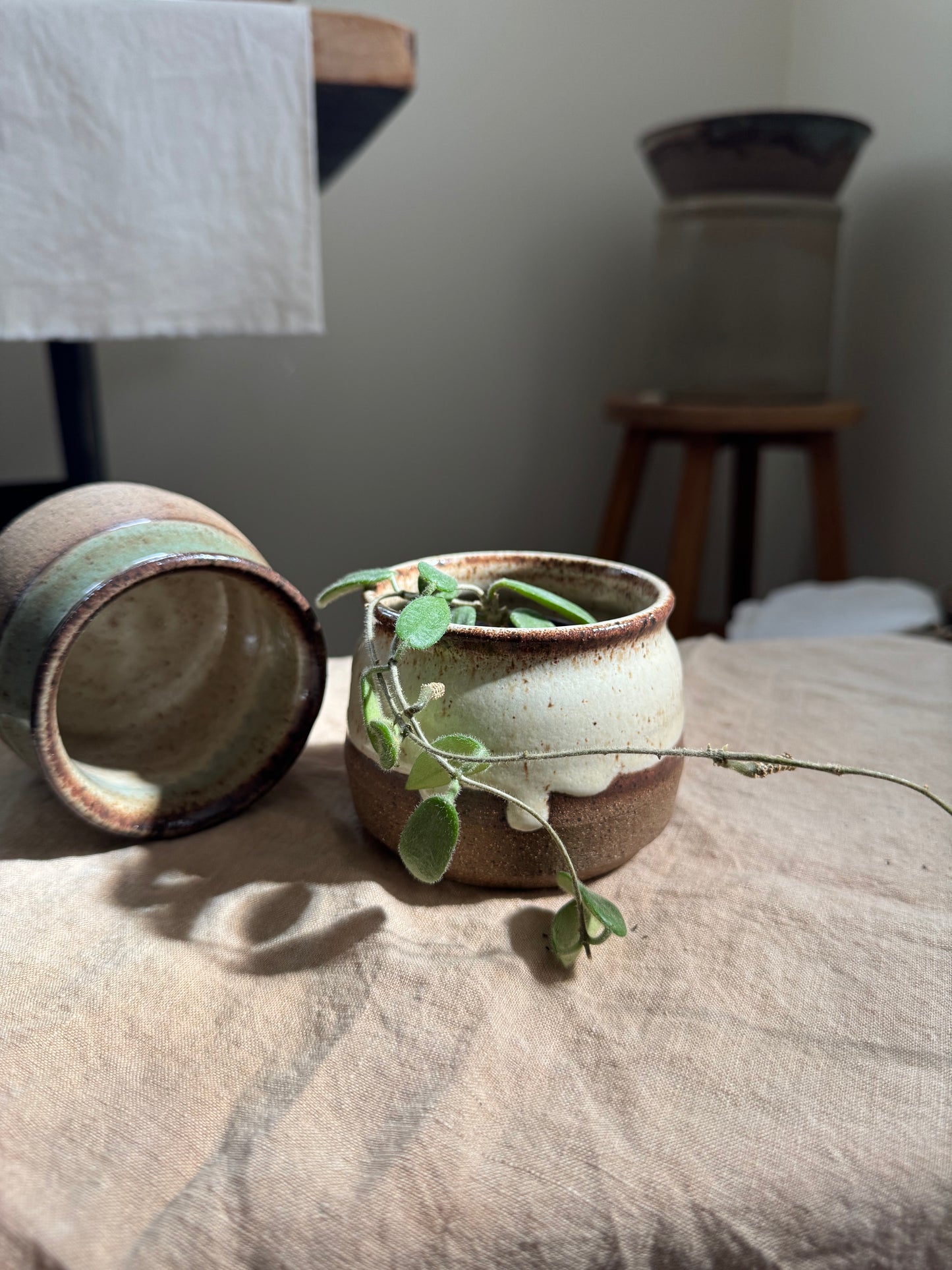 Plant Pot